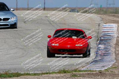 media/Apr-01-2023-Speed Ventures(Sat) [[0a098caa64]]/Purple Group/Outside Grapevine/